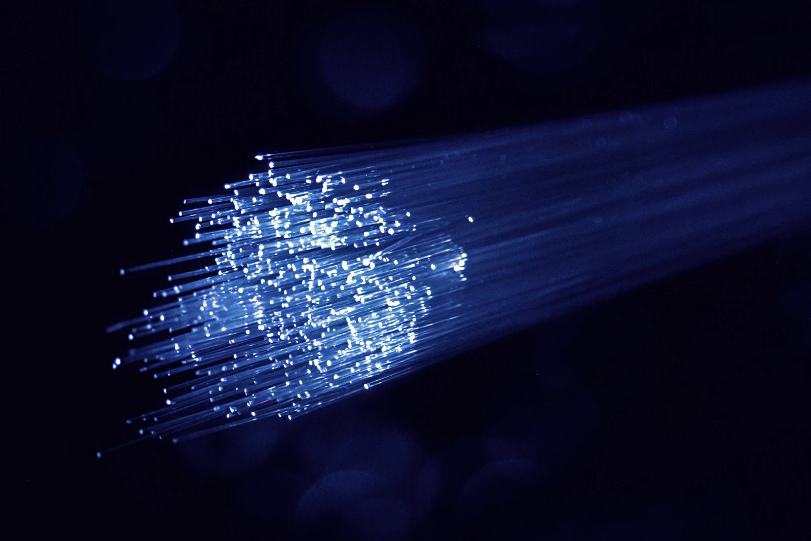 Structured cabling for EDEKA Fabig (Cancom IT)